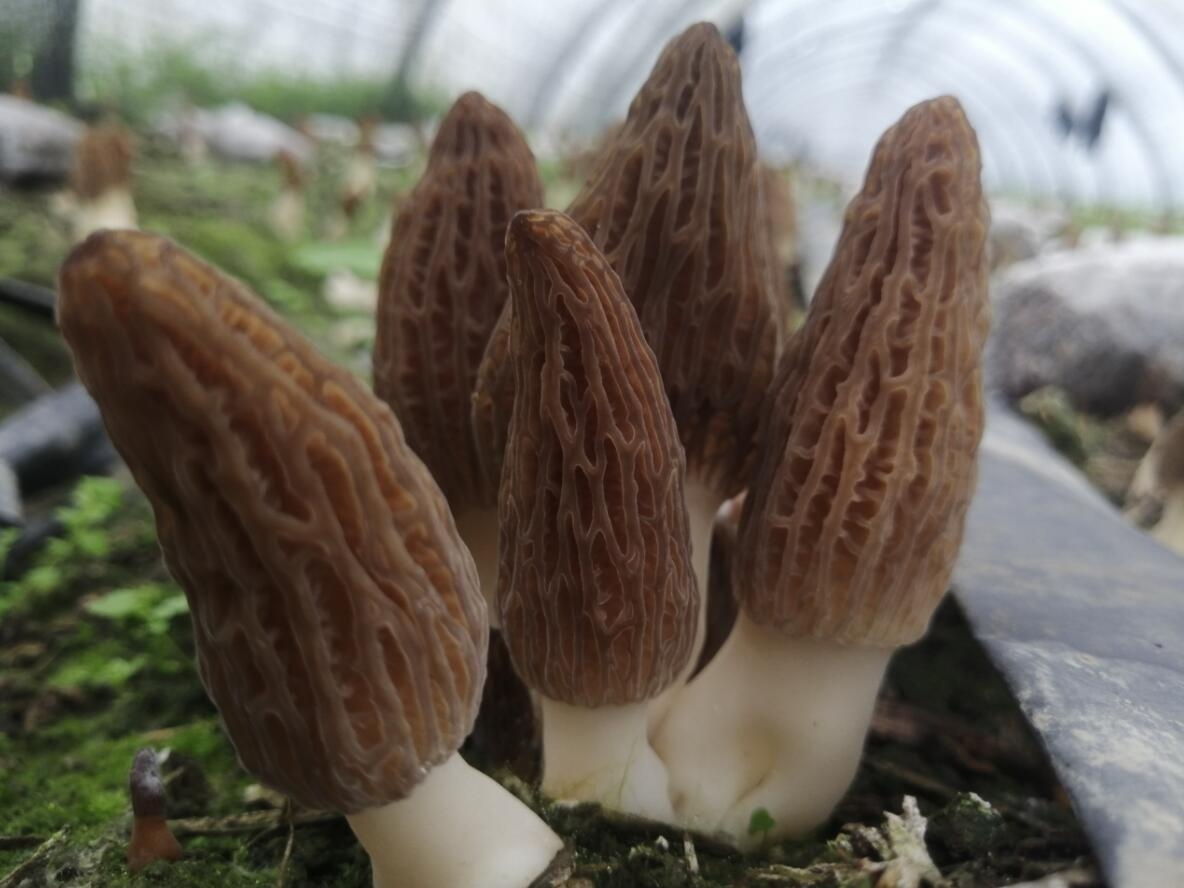 &#24320;&#20803;&#32593;&#31449;&#30331;&#24405;&#20837;&#21475;&#95;&#24320;&#20803;&#65288;&#20013;&#22269;&#65289;